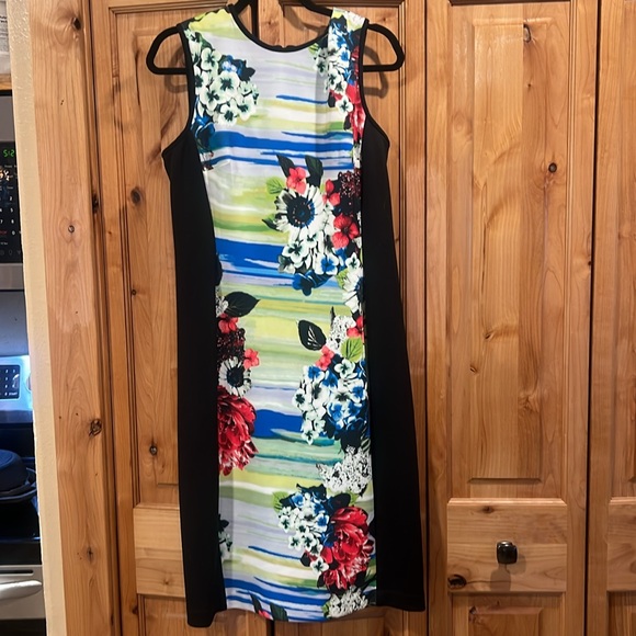 Maggy London Sleeveless floral dress SZ 12 - Picture 3 of 6